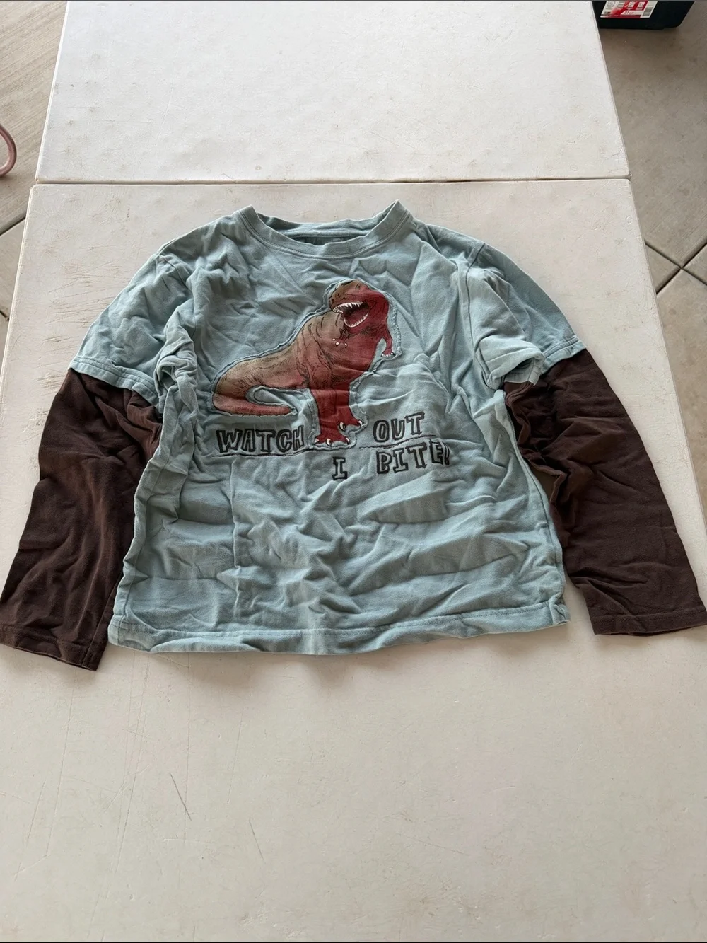 Gymboree Light Blue Long Sleeve Tee with Brown Sleeves & Dino Graphic